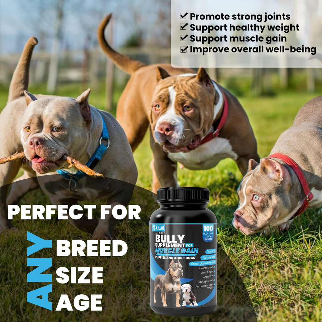 Dog Weight Gainer Supplement with Turmeric, Glucosamine, Green Lipped Mussels R5122