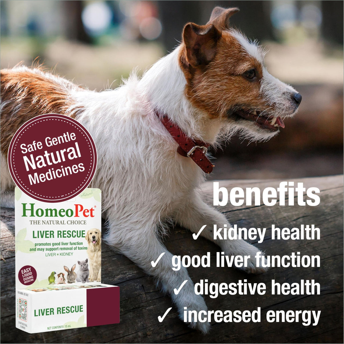 Liver Rescue Supplement for Dogs and Cats 15 Milliliters N228740